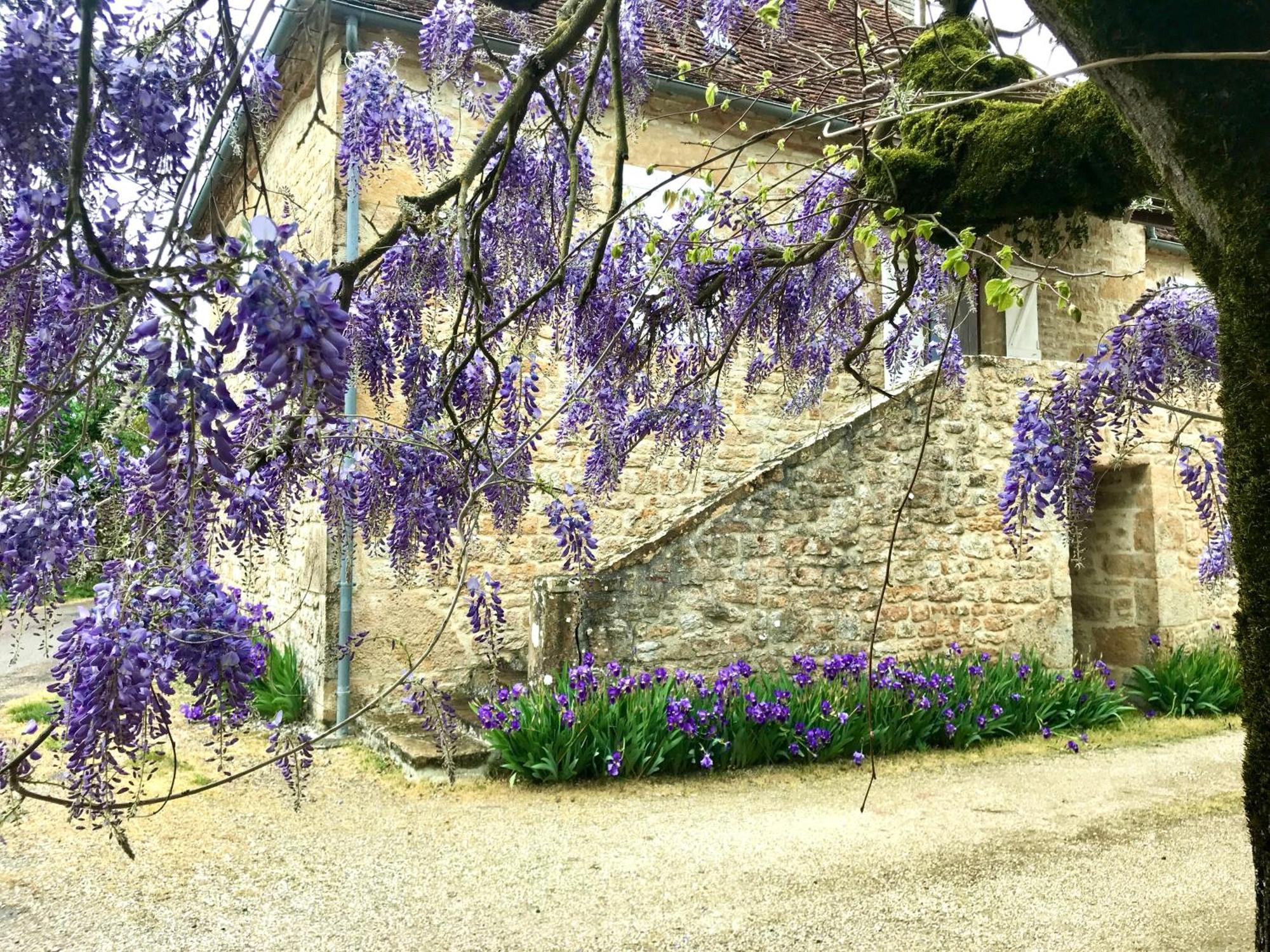 Bed and Breakfast Manoir De Rieuzal Loubressac Екстер'єр фото