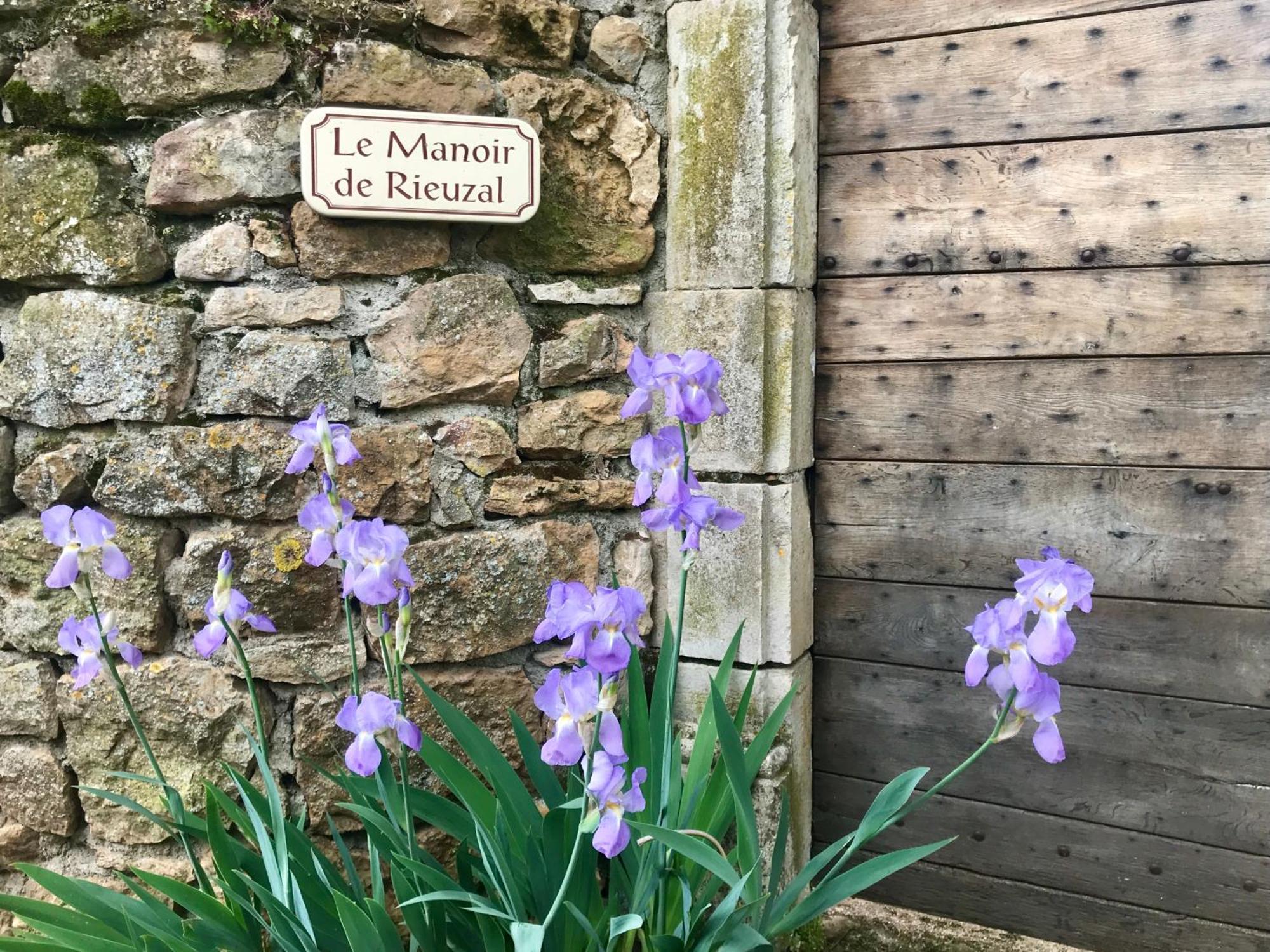 Bed and Breakfast Manoir De Rieuzal Loubressac Екстер'єр фото