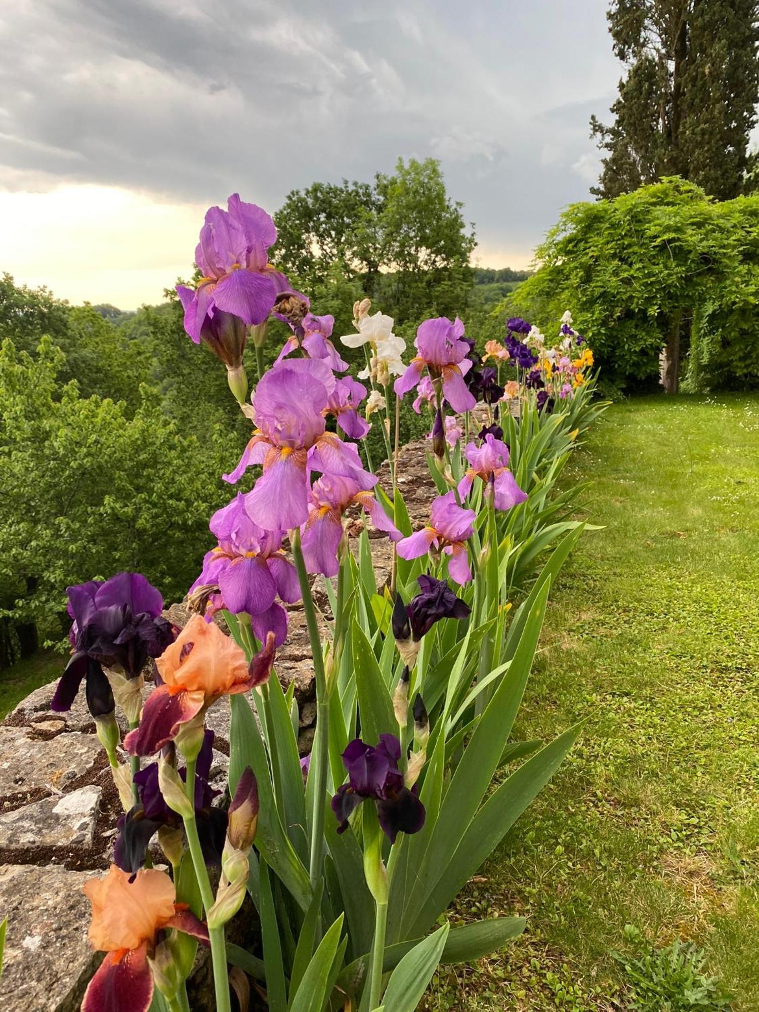 Bed and Breakfast Manoir De Rieuzal Loubressac Екстер'єр фото