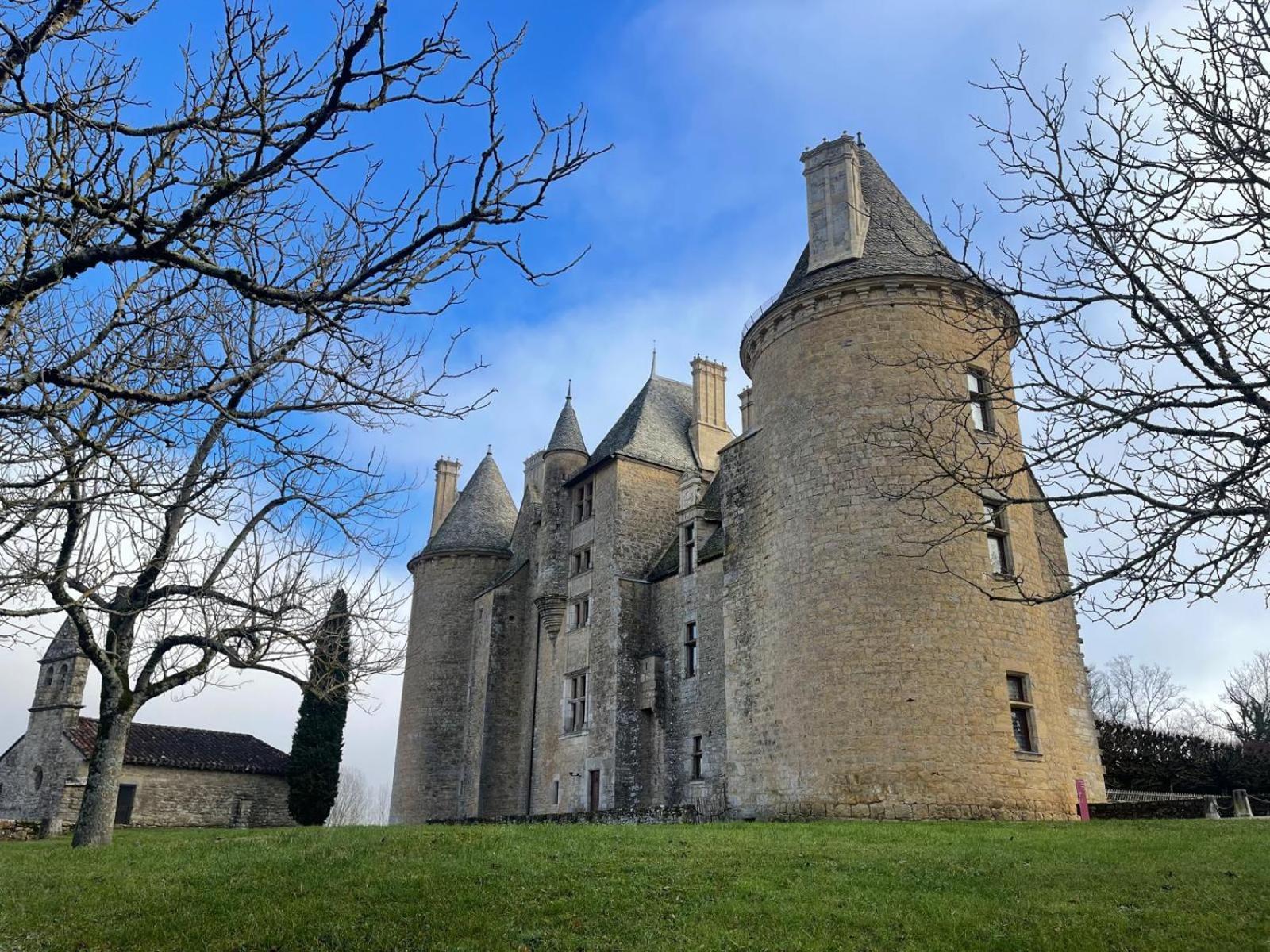 Bed and Breakfast Manoir De Rieuzal Loubressac Екстер'єр фото