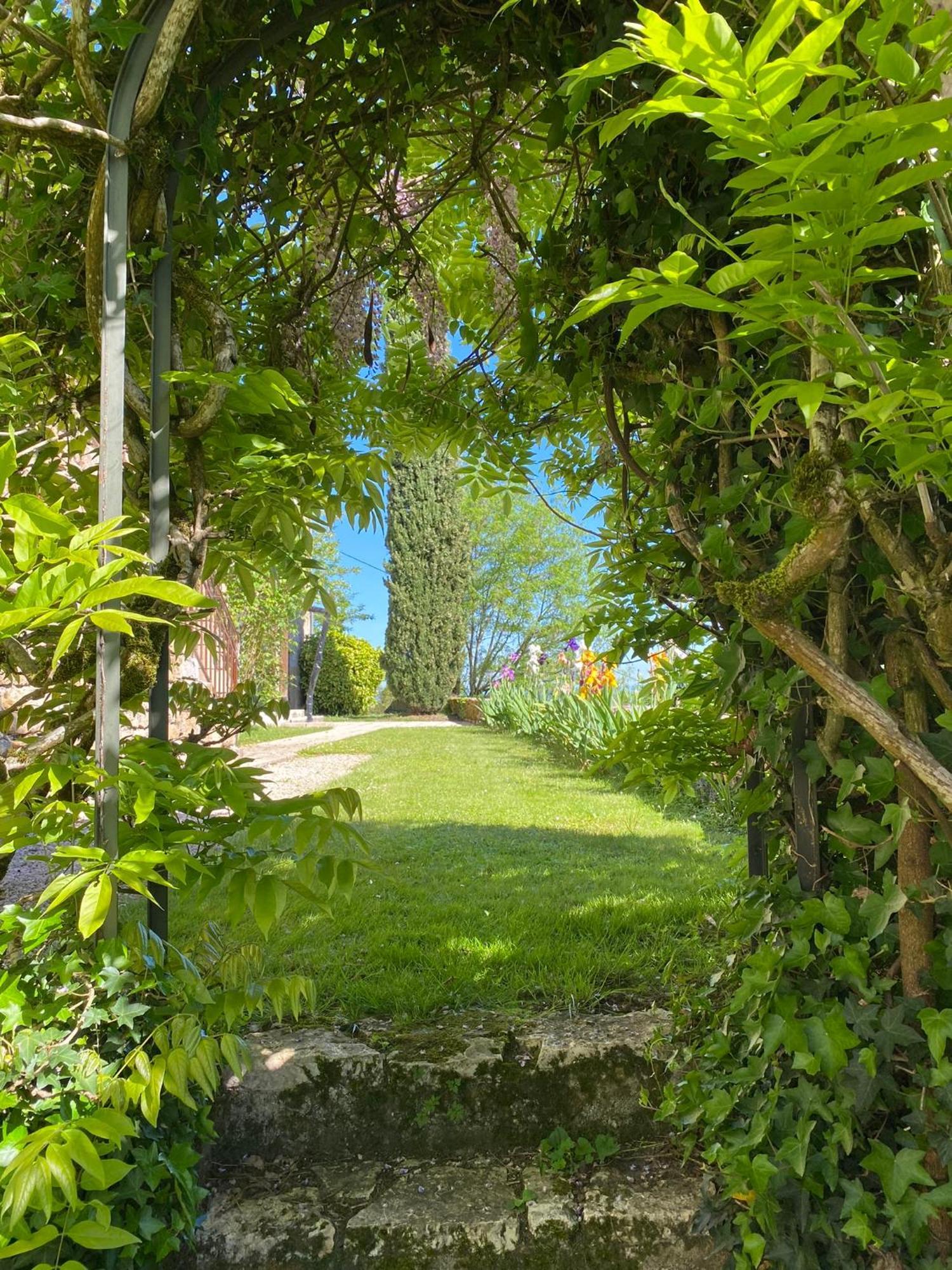Bed and Breakfast Manoir De Rieuzal Loubressac Екстер'єр фото