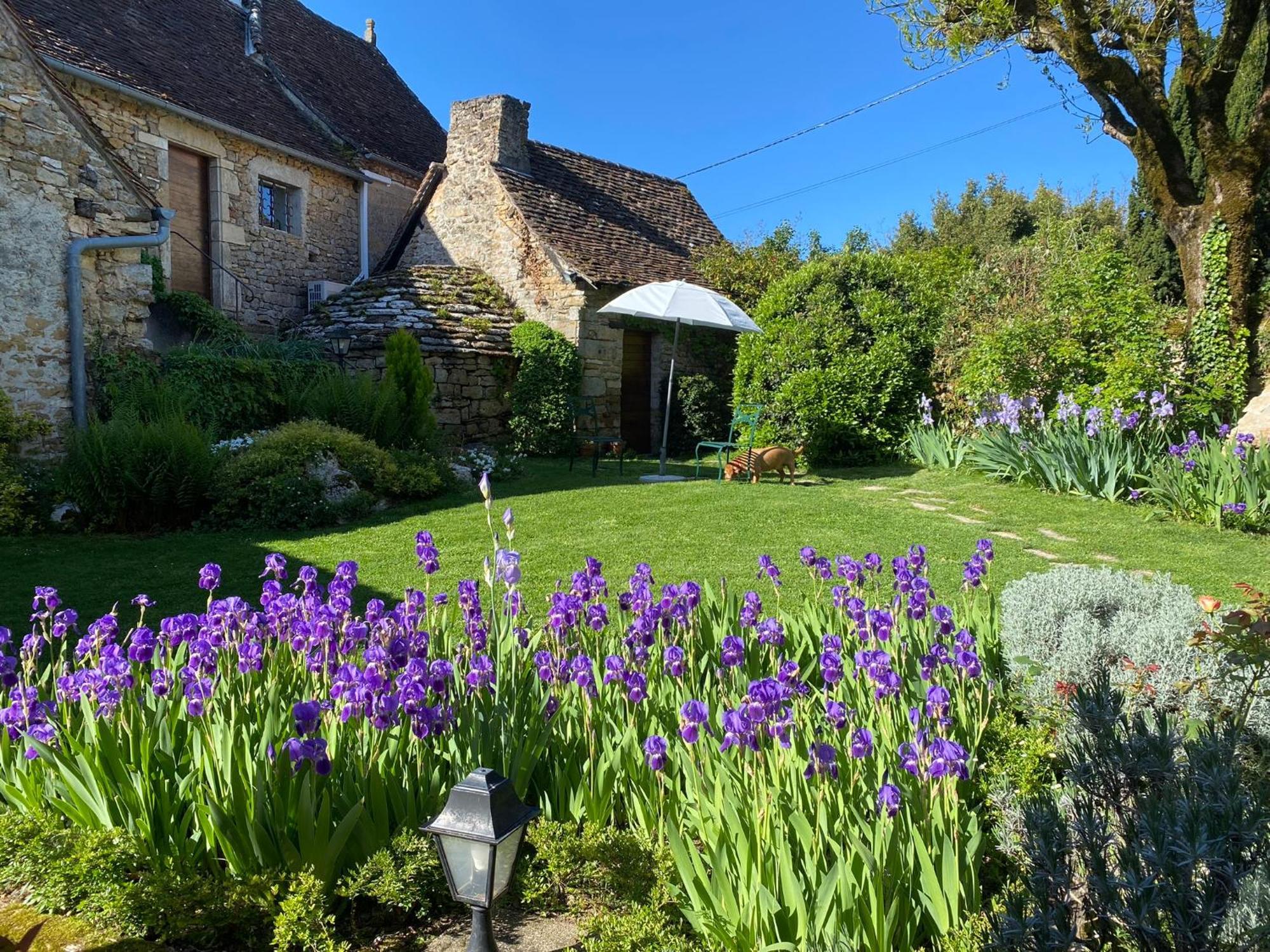 Bed and Breakfast Manoir De Rieuzal Loubressac Екстер'єр фото
