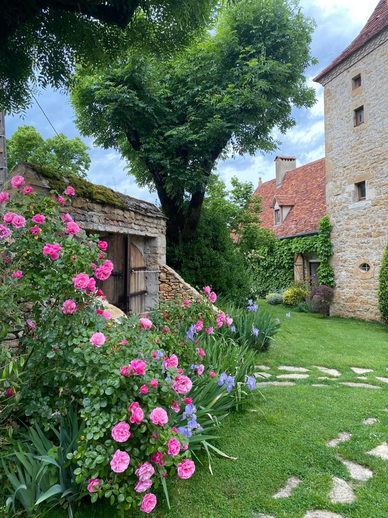 Bed and Breakfast Manoir De Rieuzal Loubressac Екстер'єр фото