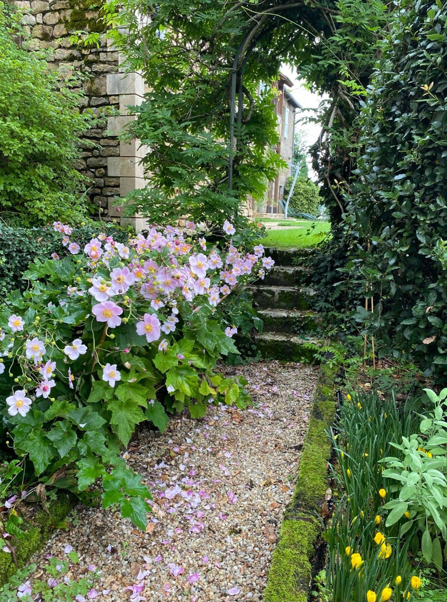 Bed and Breakfast Manoir De Rieuzal Loubressac Екстер'єр фото
